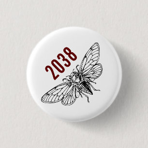 Cicadas 2038 knapp