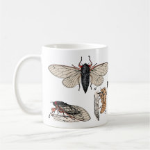Cicadas Dubbla Brood 2024 Mugg