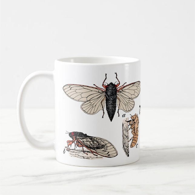Cicadas Dubbla Brood 2024 Mugg (Vänster)