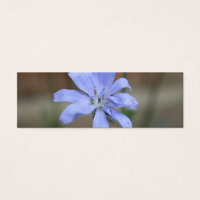 Ciciory Bookmark Litet Visitkort (Framsidan)