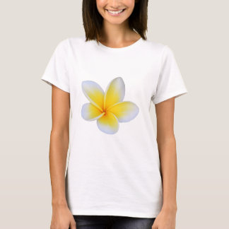 Cicy Bell Dam T-Shirt med Kort Ärm – Så