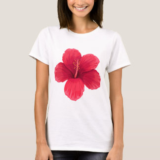Cicy Bell Kvinnors Kortärmad T-Shirt – Mjuk Bomull