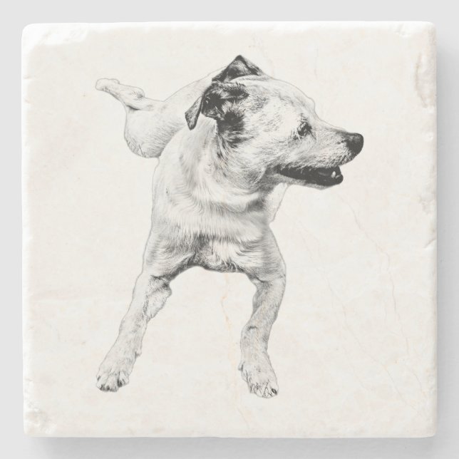 Cider Bord, Cheerful Pivot Stenunderlägg (Framsidan)