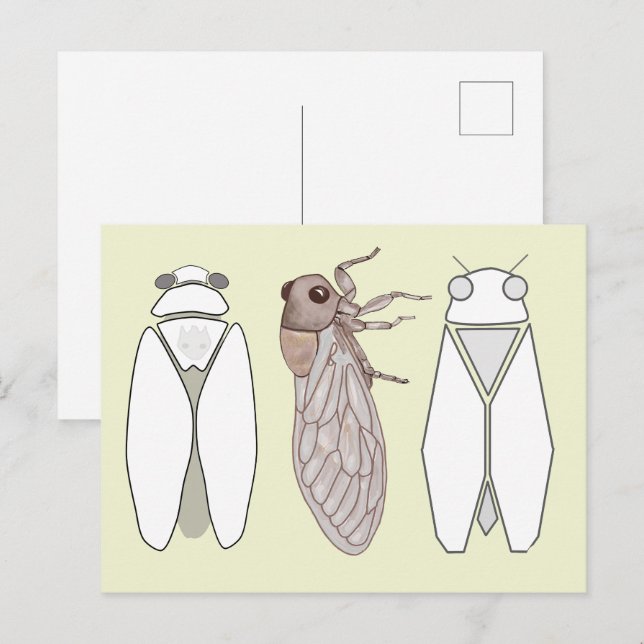 Cigale et cigalon graphiques. vykort (Fram/baksida)