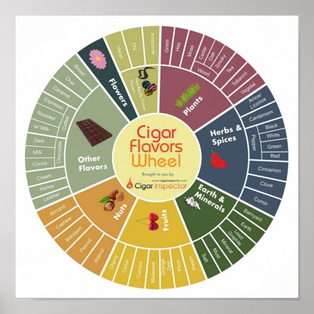 Cigar Flavors Wheel Poster (Framsidan)