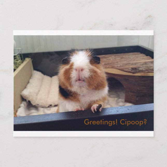 Cigar poop-kort vykort (Framsida)