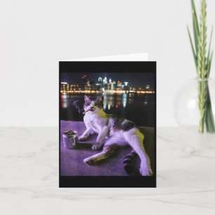 Cigarett Katt Rolig Rökande Katt Meme Dum Hjärna Kort