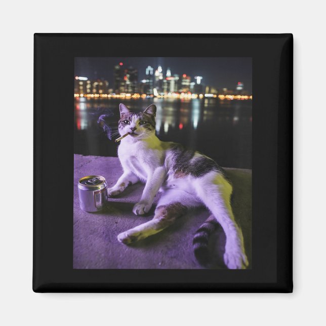 Cigarette Kitten Funny Smoking Cat Meme Stupid Bra Magnet (Framsidan)