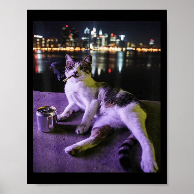 Cigarette Kitten Funny Smoking Cat Meme Stupid Bra Poster (Framsidan)