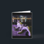 Cigarettkatt Rollig Rökande Katt Meme Dum Förstånd Kort<br><div class="desc">Cigarettkatt Rollig Rökande Katt Meme Dum Hjärnrot _1</div>