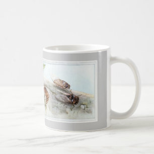 cikada 2, gräshoppor kaffemugg