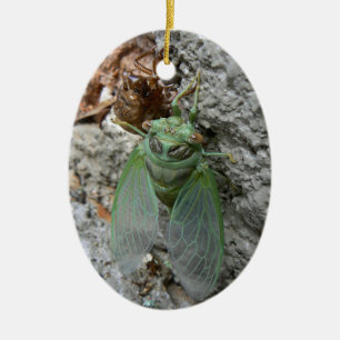 Cikada på väggen julgransprydnad keramik