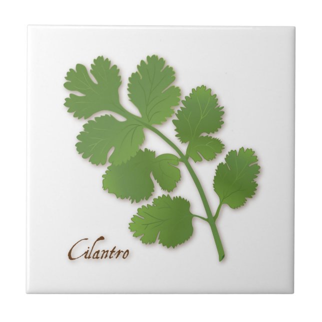 Cilantro Herb Ceramic Tile Kakelplatta (Framsidan)