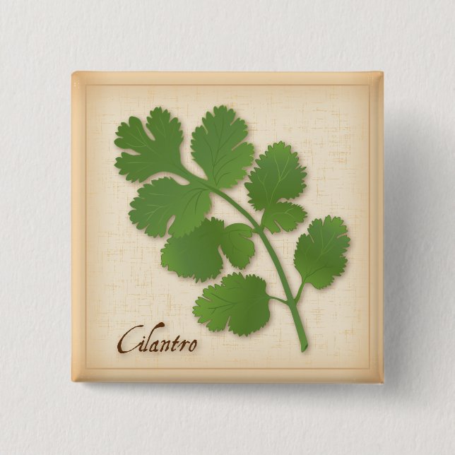 Cilantro Herb Knapp (Framsida)
