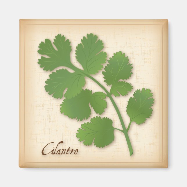 Cilantro Herb Magnet (Framsidan)