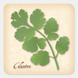 Cilantro Herb Square Sticker Fyrkantigt Klistermärke