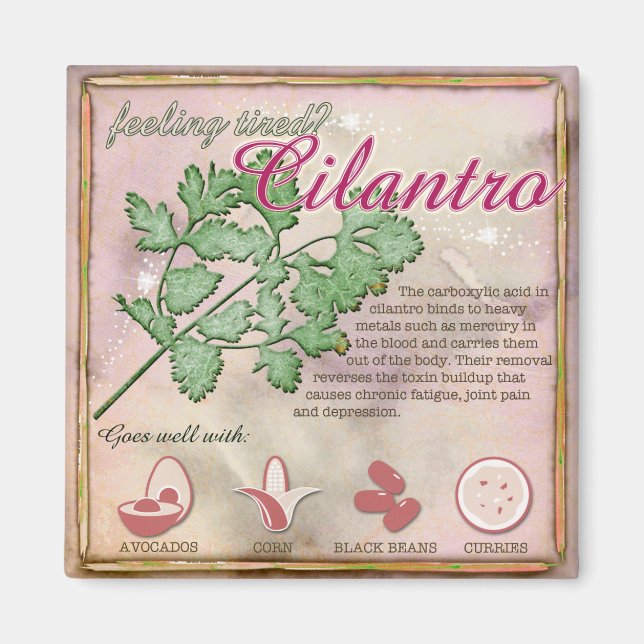 Cilantro Magnet (Framsidan)