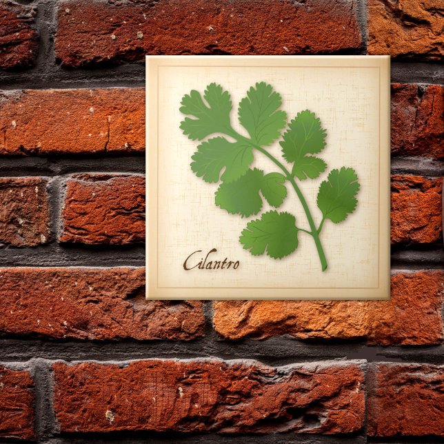Cilantroört Kakelplatta (Cilantro Herb Ceramic Tile, aromatic leaves with a distinctive flavor. )