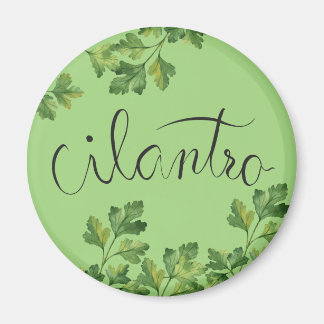 Cilatro spice magnet