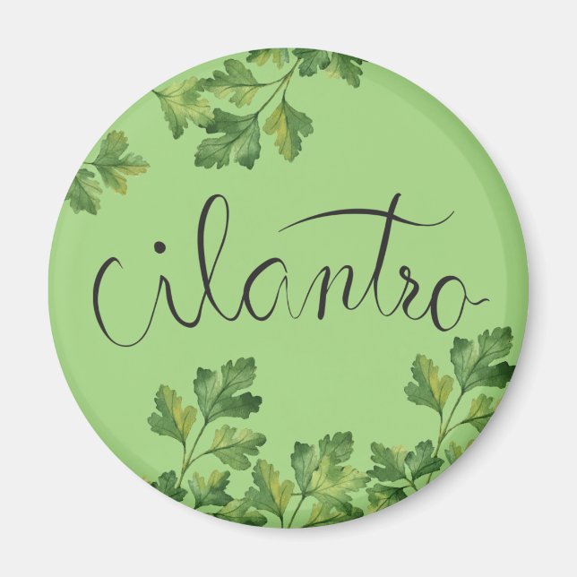 Cilatro spice magnet (Framsidan)