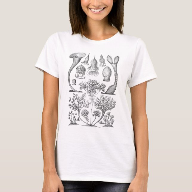 Ciliata Tee (Framsida)