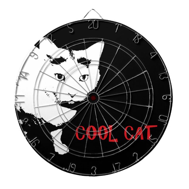 CILLA KATT PILTAVLA (Framsidan)