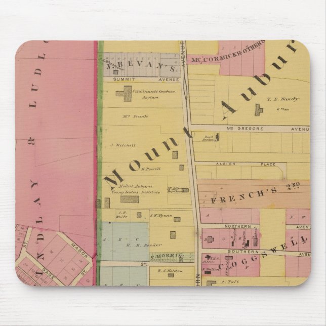 Cincinnati, Ohio 5 Musmatta (Framsidan)