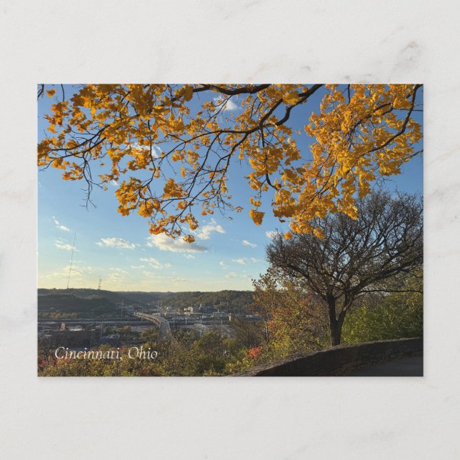 Cincinnati Park View Postcard Vykort (Framsida)