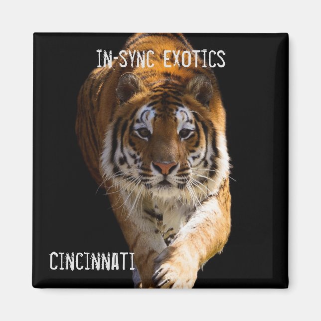 Cincinnati Tiger - Magnet (Framsidan)