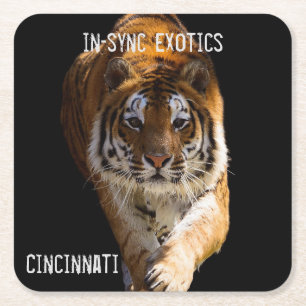 Cincinnati Tiger - Underlägg Papper Kvadrat