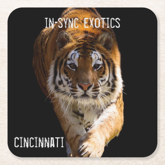 Cincinnati Tiger - Underlägg Papper Kvadrat (Framsidan)