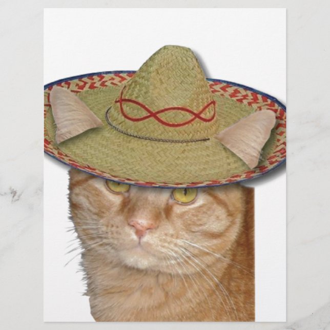 Cinco de Gato (Framsida)