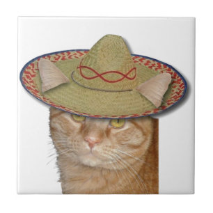 Cinco de Gato Kakelplatta