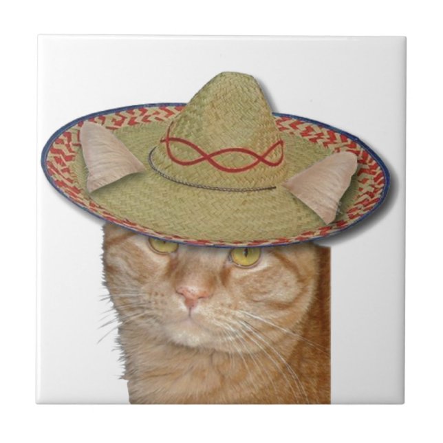 Cinco de Gato Kakelplatta (Framsidan)