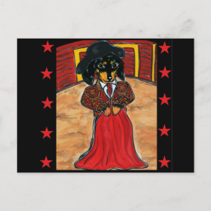 Cinco de mayo-doxar vykort