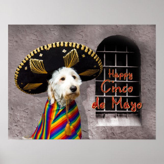 Cinco de Mayo Poster - Dog in Sombrero - Humor (Framsidan)