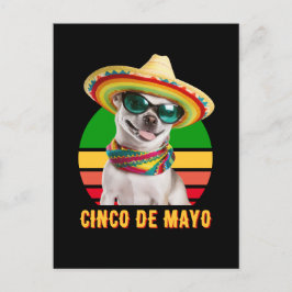 Cinco De Mayo Sombrero Chihuahua med solglasögon Helg Vykort