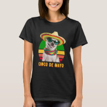 Cinco De Mayo Sombrero Chihuahua med solglasögon