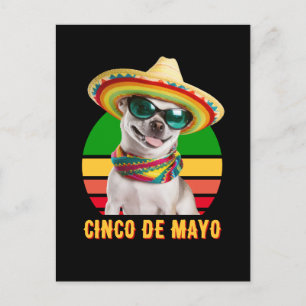 Cinco De Mayo Sombrero Chihuahua Med Solglasögon Vykort