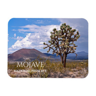 Cinder Cones, Joshua Träd, Mojave N Preserve, CA Magnet