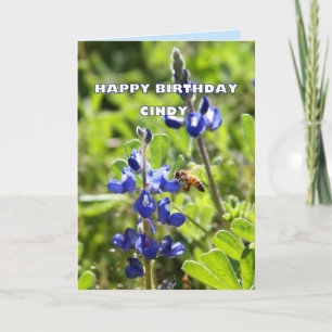 Cindy Texas Bluebonnetgrattis på födelsedagen Kort