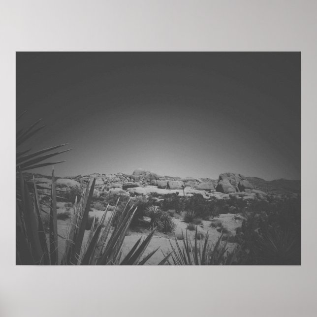 Cinematic Black and White Joshua Träd Boulders Poster (Framsidan)