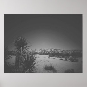 Cinematic Noir Black and White Joshua Träd Poster