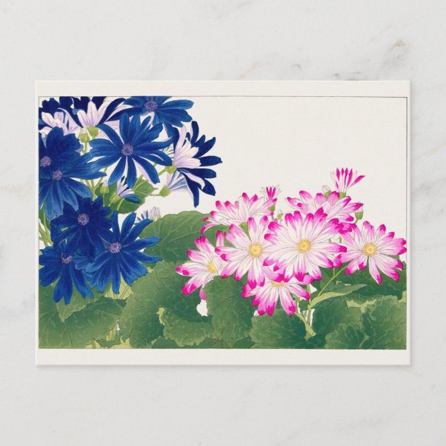 Cineraria av Tanigami Konan Vykort (Framsida)
