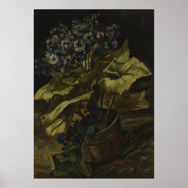 Cineraria av Vincent Van Gogh Poster (Framsidan)