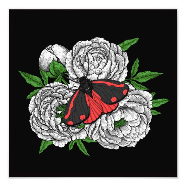 Cinnabarmage Fototryck (Framsidan)