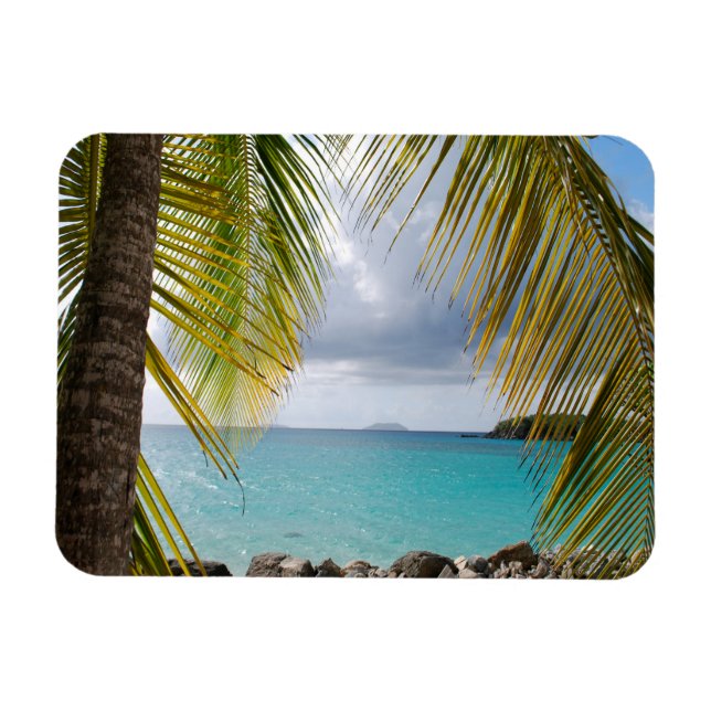Cinnamon Bay, St John, USVI Magnet (Horisontell)