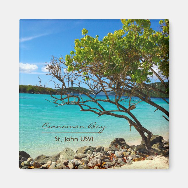 Cinnamon Bay St. John USVI Magnets Magnet (Framsidan)
