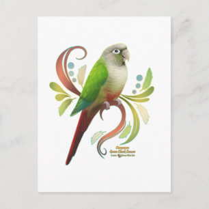 Cinnamon Grönt Cheek Conure Vykort