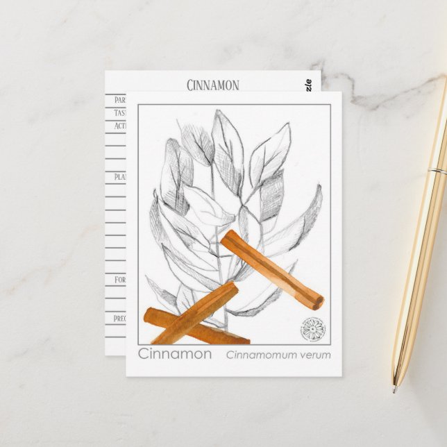 Cinnamon Spice Materia Medica Monograph Herbal Vykort (Fram/Back In Situ)